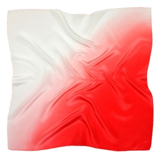 Shaded silk scarf 55x55cm AC5-081