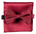 MP-021 Red Men's Bow Tie in a Set with a Pocket Square(1)