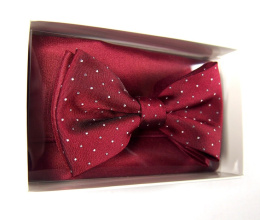 MP-021 Red Men's Bow Tie in a Set with a Pocket Square