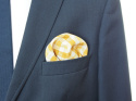 PJ-167 Silk Pocket Square with a Pattern(1)