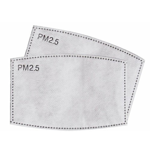 PM 2.5 Filter - 1 pc.