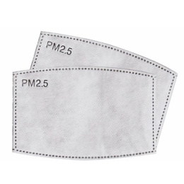 PM 2.5 filter - 10 pc.