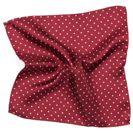 PJ-182 Silk Pocket Square with a Pattern