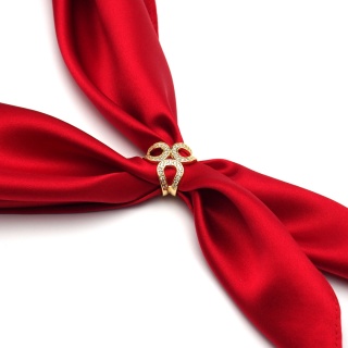 Gold-plated silver scarf with cubic zirconia (pr. 925) AA-056