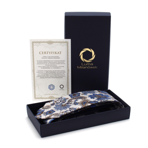 Men's silk tie paisley pattern IT-082