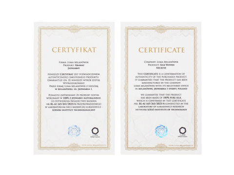 Men's silk tie paisley pattern IT-082