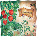 AM5-011 Schal mit kleinem Seidenschal, Erdbeeren aus Mailand 55x55 cm