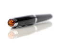 A Rollerball Pen with Baltic Amber