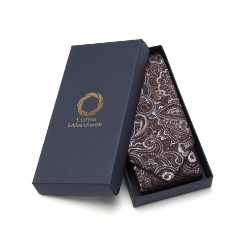 Men's silk tie paisley pattern IT-035