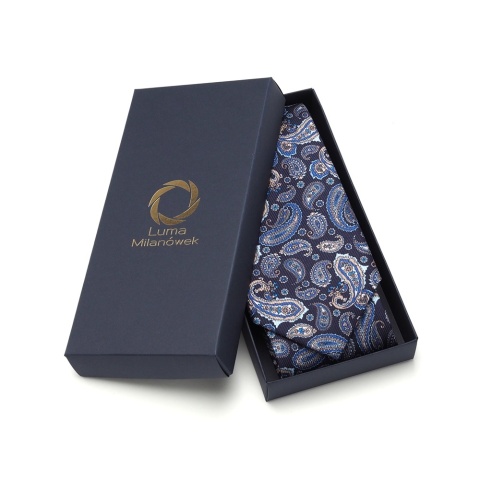 Men's silk tie paisley pattern IT-036