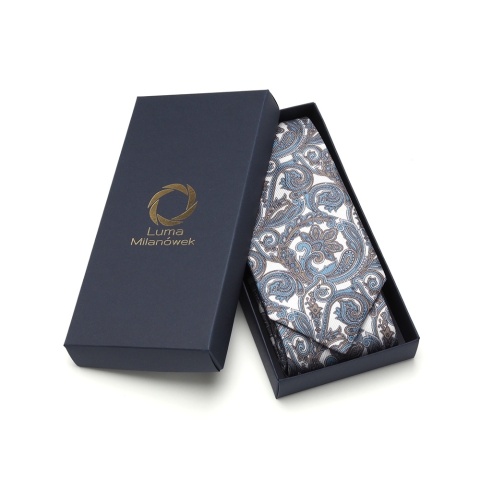 Men's silk tie paisley pattern IT-037