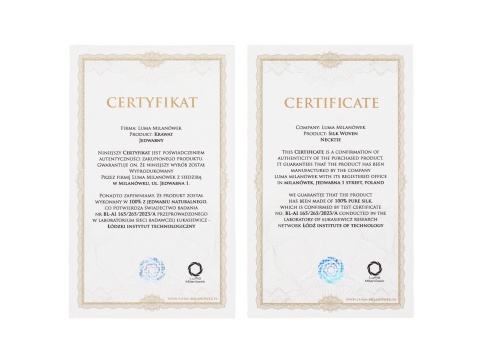 Men's silk tie paisley pattern IT-039