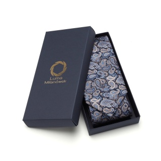 Men's silk tie paisley pattern IT-044