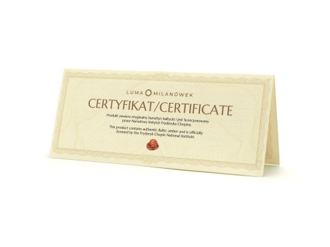 Pióro wieczne Fryderyk Chopin z bursztynem WPZ-CH