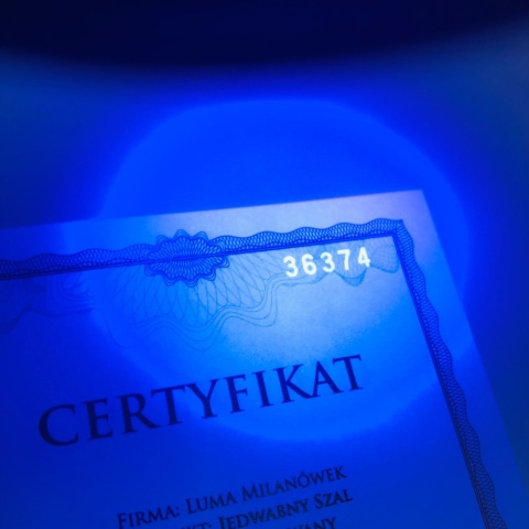 Chusta jedwabna jedwabnik 88x88cm AD-510