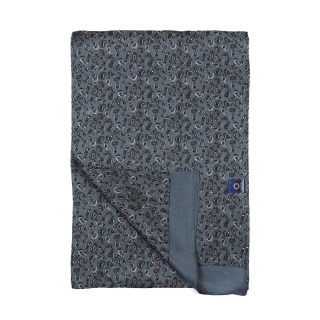 Men's silk scarf with paisley pattern SR-055
