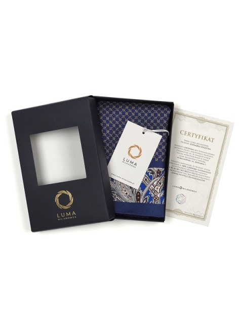 Silk suit handkerchief 30x30 cm PJ-083