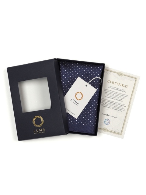 Silk pocket square for jacket 30x30 cm PJ-072