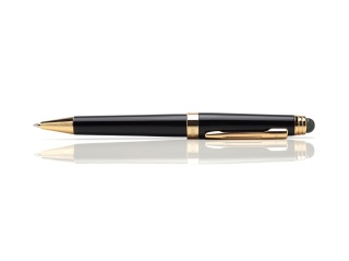 Gold pen with labradorite DZ-20