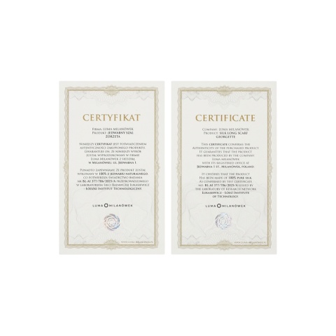 Gray silk georgette long scarf, dress scarf 200x65 cm SZZ-003