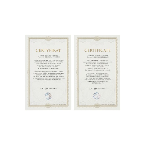 Silk suit pocket square 30x30 cm PJ-051