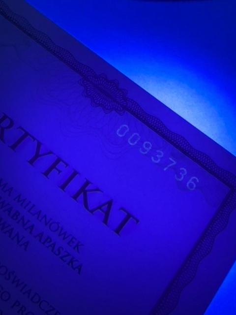 Certyfikat jedwab